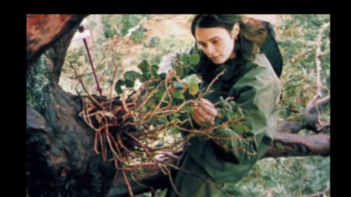 The heroine who stole my heart is actually a tribute to this young woman, who dedicated two years of