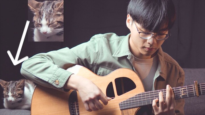 Tháng tư là lời nói dối của em Orange 7!! | Wang Tianyuan fingerstyle guitar