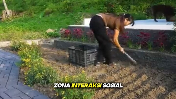 wanita cantik membangun rumah impian di tengah hutan sendirian