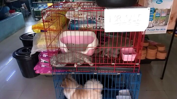 please Subscribe to my YouTube Channel Thank You 😊