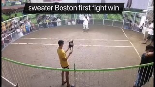 Sweater Boston one of tough lines I’ve had winner 🏆🏆🏆🏆 CAP GAMEFOWLS