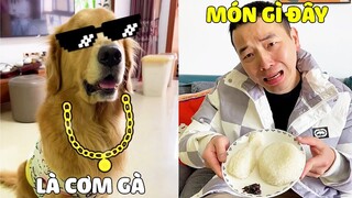 Tứ Mao | Khi Tứ Mao Vào Bếp Trổ Tài Nấu Ăn Cho PaPa Và Kết Quả Thì 🤣   Gâu Đần Official