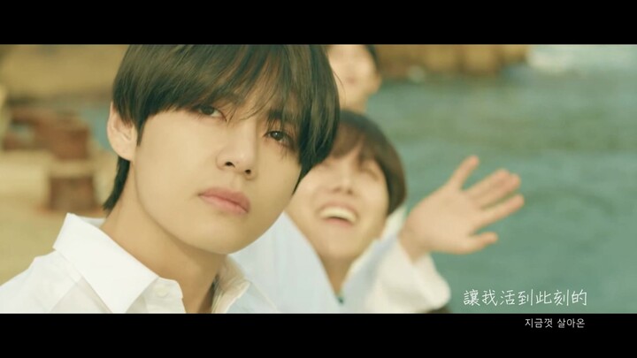 JIN Epiphany 完整版MV !! ~致永远的花样年华 (致那些年被套路的阿米们) 中韩字幕