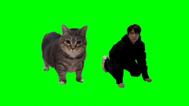 [Human Meme] oiiaioooooiai