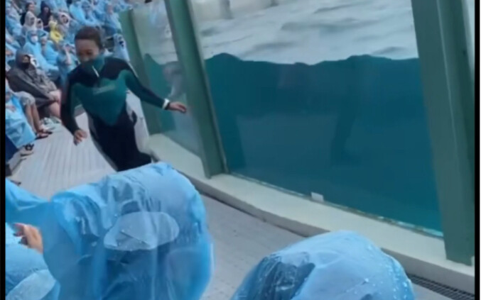 Zookeeper: Otherwise, why do you think I’m running so fast?
