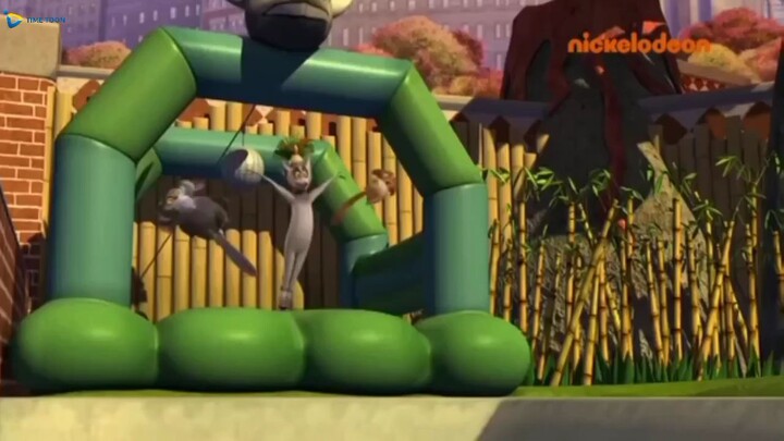 Raja Julian - the pinguin of Madagascar 🐧