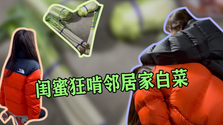 Halo Nyonya Cai Bai, apakah Anda puas dengan bawang perai berbentuk hati dan sawi putih yang saya be