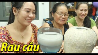 Râu câu trái dừa [Nam Việt 1775]