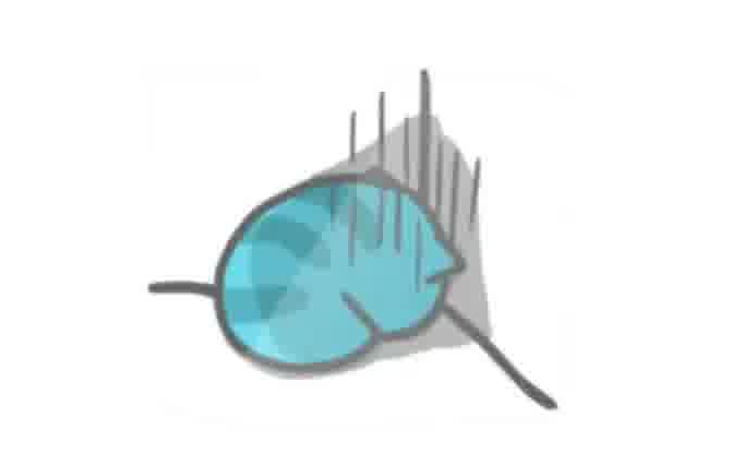 [Cat Bug Kapo] Aku marah! Biarkan aku keluar!