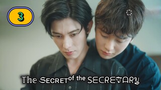 🇯🇵 EP.3 [FINALE] The Secret of the Secretary (2025) ENG SUB