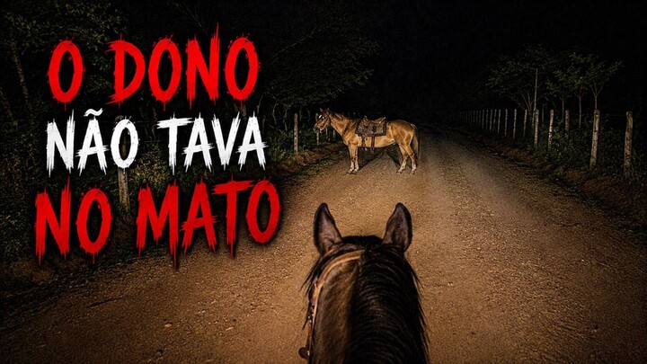 CAVALO SELADO TAVA NA ESTRADA ABANDONADO...