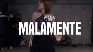 【Cheshir】LISA独舞Malamente宝藏编舞师Cheshir Ha本人版视频 果然有名师才可以出高徒 超带感练习室