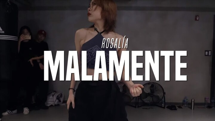 【Cheshir Ha】LISA - "Malamente" Dance Cover