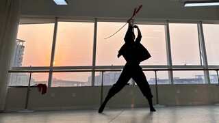 剑舞 持剑醉舞不知倦，星河入梦映清辉