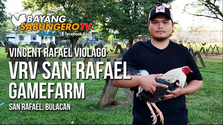 VRV San Rafael Gamefarm - Vincent Rafael Violago