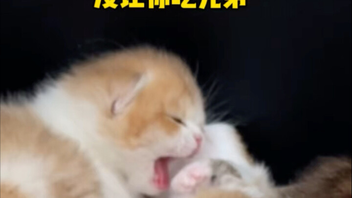 ฟงเสี่ยวโกว: ทำไมคนที่เจ็บปวดเสมอเลยต้องเป็นฉัน
