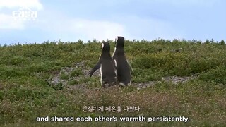 Traveler 2 EP.1 (ENGSUB)