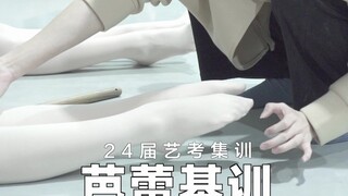 【舞蹈生艺考集训】24届艺考集训 芭蕾集训课