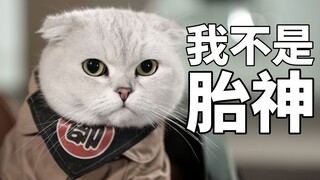 猪柳蛋：你好，我是睡务局局长，需要在你家旅馆试睡一场