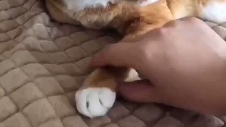 Which website said that? It’s totally wrong.