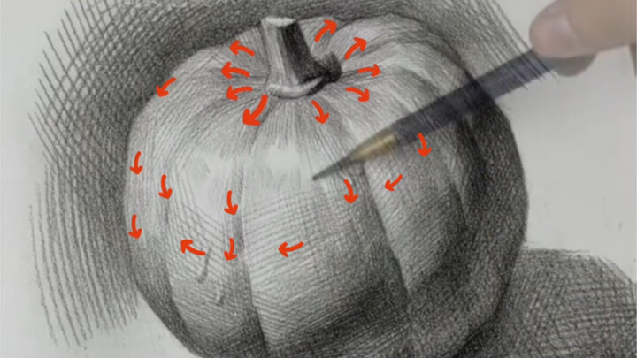 [Still Life Sketch] Squash Line-Rendering Practice
