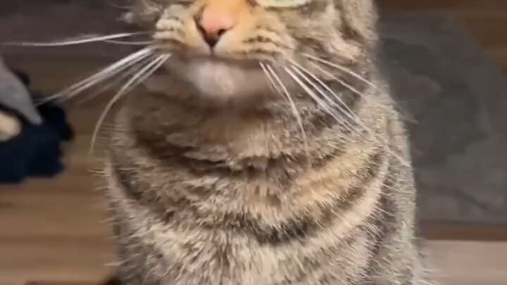 她不仅保持微笑，还会喊“麻麻”[色]