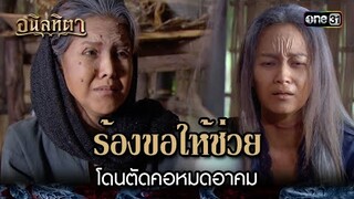 ร้องขอให้ช่วย โดนตัดคอหมดอาคม | HIGHLIGHT อนิลทิตา EP.15 | 28 มิ.ย. 67 | one31