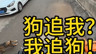 敢追我？那我就让你知道追我的后果！#被狗追