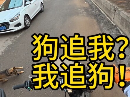 هل تجرؤ على مطاردتي؟ سأخبرك بعواقب مطاردتي! #مطاردة_الكلب