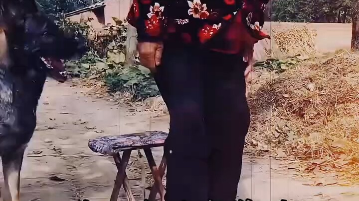 كل الأشياء لديها روح