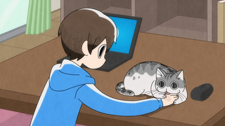 【7月/日野聪&种崎敦美】与猫共度的夜晚(夜夜猫歌) 04【中文字幕】