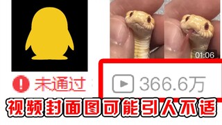 Bilibili's popular little snake with a million fans couldn't pass the review for Project Dawn? And e