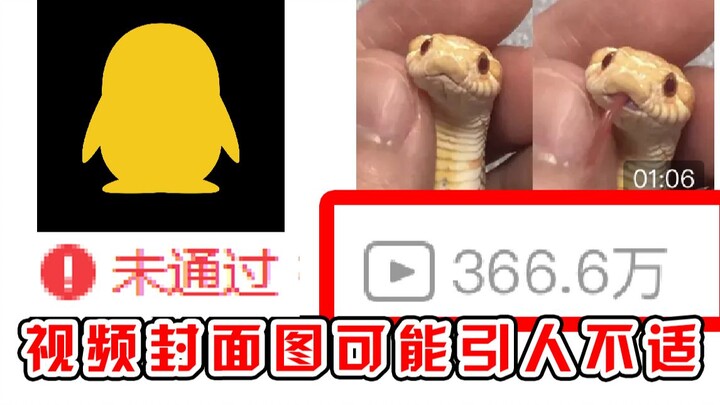 Rắn nhỏ triệu view trên Bilibili tham gia Dự án Bình Minh lại không qua được kiểm duyệt? Còn bị lừa 