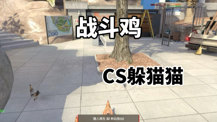 CS2 ซ่อนหา: ไก่ต่อสู้