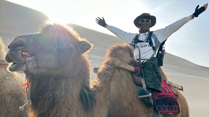 为了骑骆驼去了趟西北