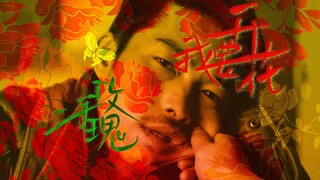 【我要马不停蹄的绽放 你爱服不服】—— 二手玫瑰《我要开花》影视混剪