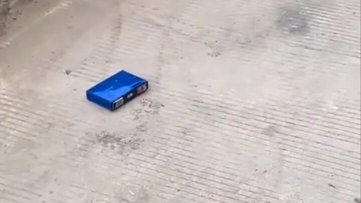 Mengapa ia bisa terbang?