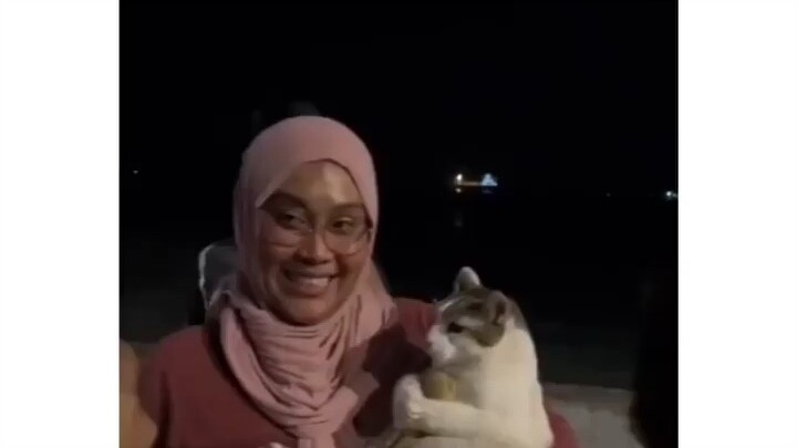 ApaKahKauMelihatKucing