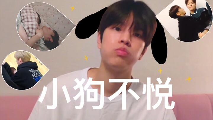 【ستراي كيدز/كيم سونغ مين】هسهسة الجرو تعني أنه لا يحب أن تلمسه!