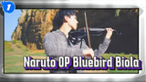 Violin Cover - Pembukaan Naruto yang paling hype: Blue Bird_1