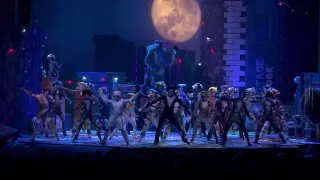 The ACT presents "The Jellicle Ball" into "Memory" from CATS the Musical