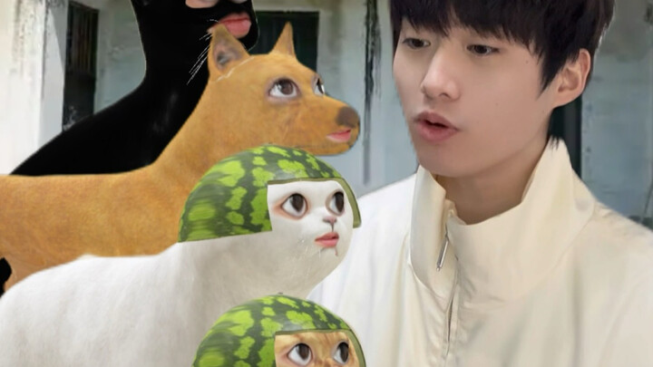 Cats and Mice Celebrate the New Year Together While Watching the Village New Year’s Gala