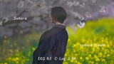 Sakura and canola flower Cinematic Portrait | EOS R5 C-Log 3 4K Test