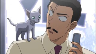 Budak kucing Kogoro