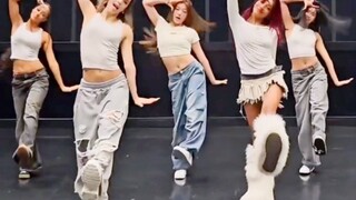 Cousin is coming! Katseye cover illit Cherish dance cha!