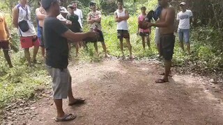 manok ko si pulutan bumitaw