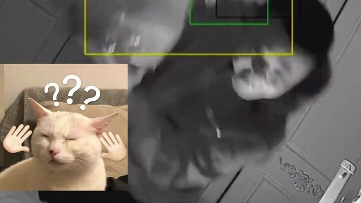 Mau bangunin istri tengah malam tanpa kena marah? Belajar dari abang ini aja—siapa yang iri sama aku