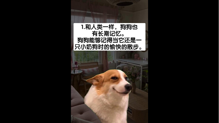 Cozy Facts About Dogs from a Biologist