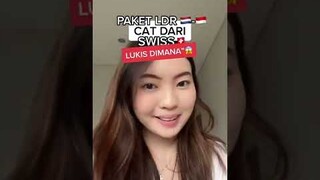 Tiktok Erika Richardo | LUKIS DI JALANAN PAKE CAT DARI SWISS 😱😱