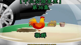 十三公路求生第36集